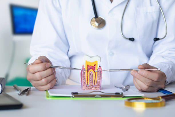 Best Broken Tooth Emergency  in Harper Woods, MI